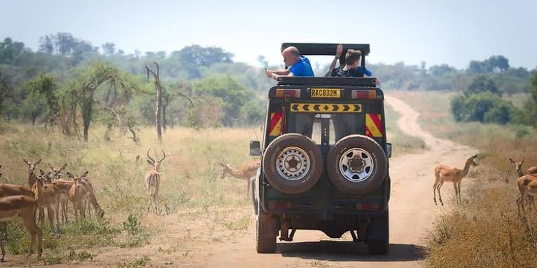 Activities in Akagera National Park