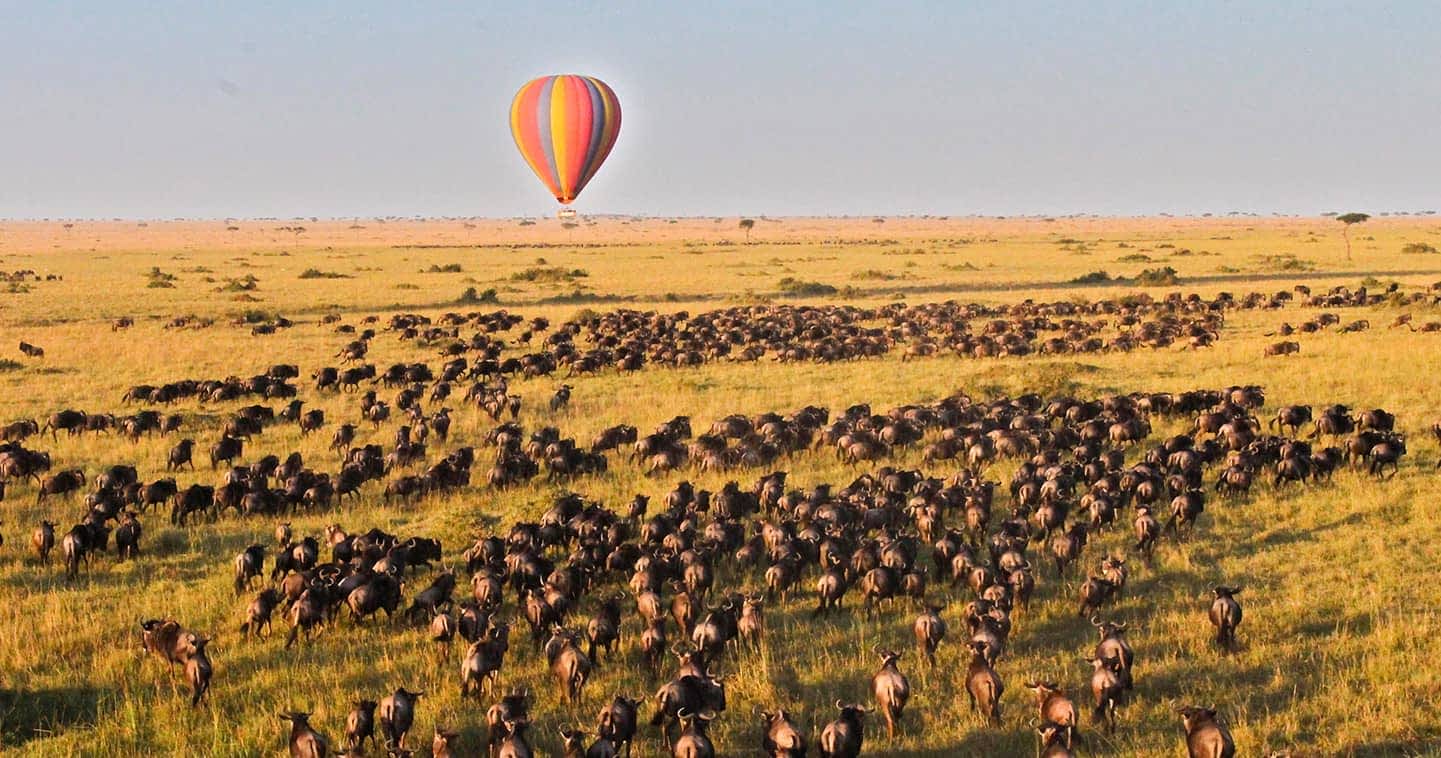 Top Activities to do In Masai Mara National Reserve